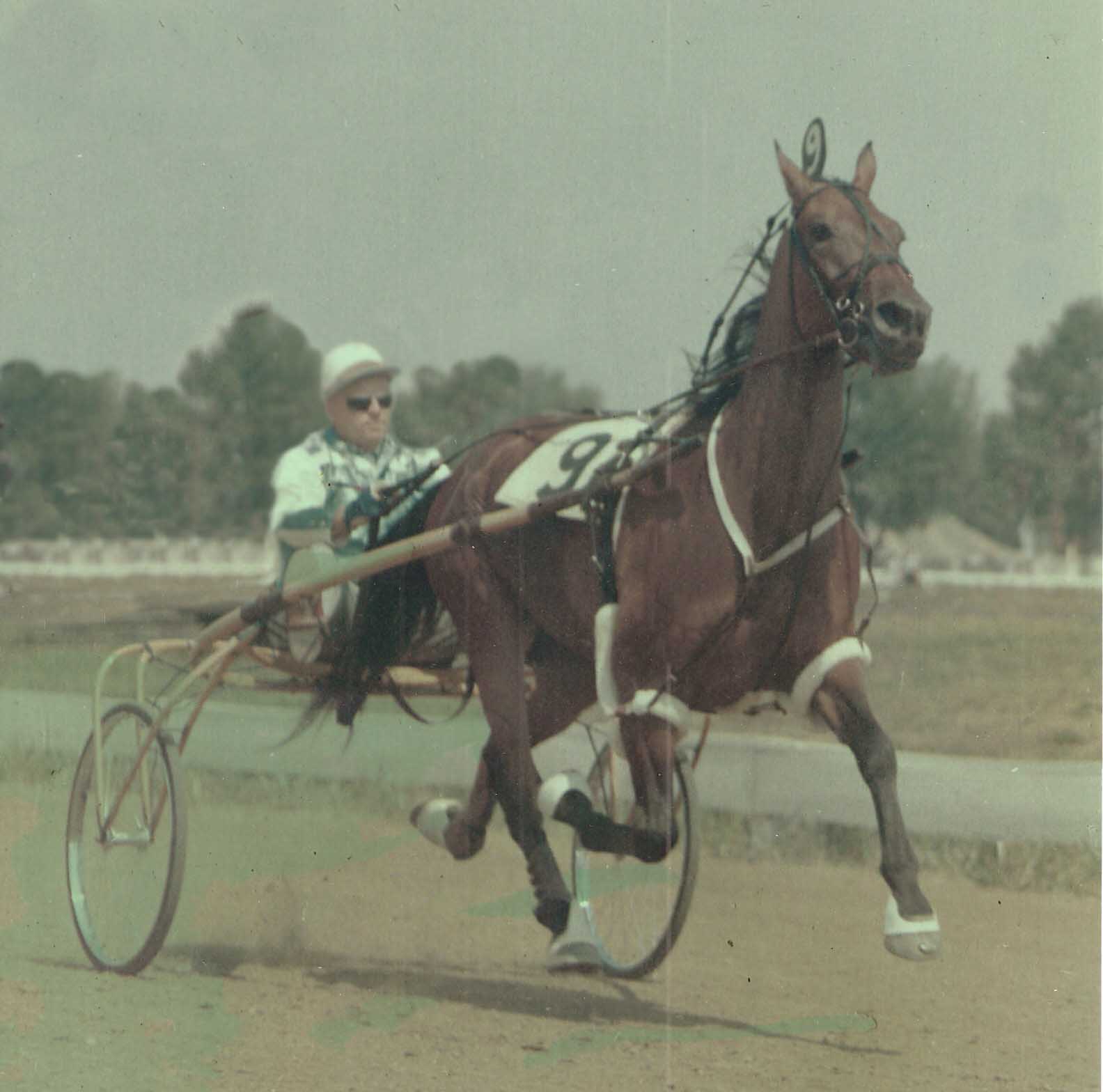 Argo Kid